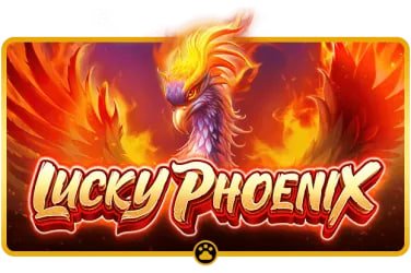 rich9 casino